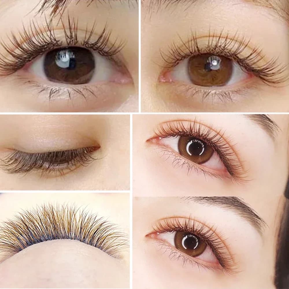 Brun Elliptisk Flat Split-Tip Ögonfransar B/C/D Curl 12 Rader